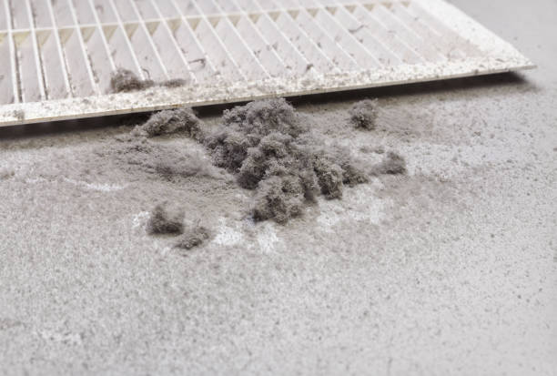 Best Commercial HVAC Duct Cleaning  in Presque Isle, ME